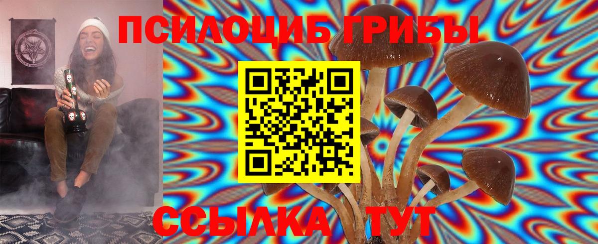 Псилоцибиновые грибы MAGIC MUSHROOMS  Вход с VPN  Псилоцибиновые грибы Magic Shrooms  Советский 